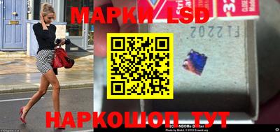 гидропоника Гатчина