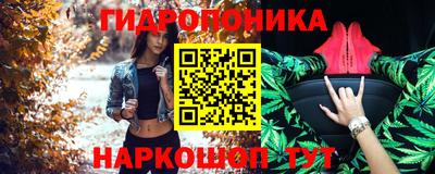 гидропоника Гатчина