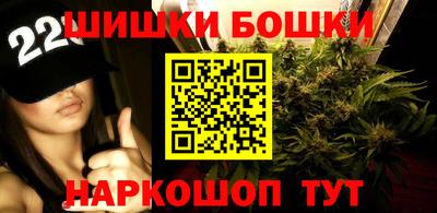 гидропоника Гатчина
