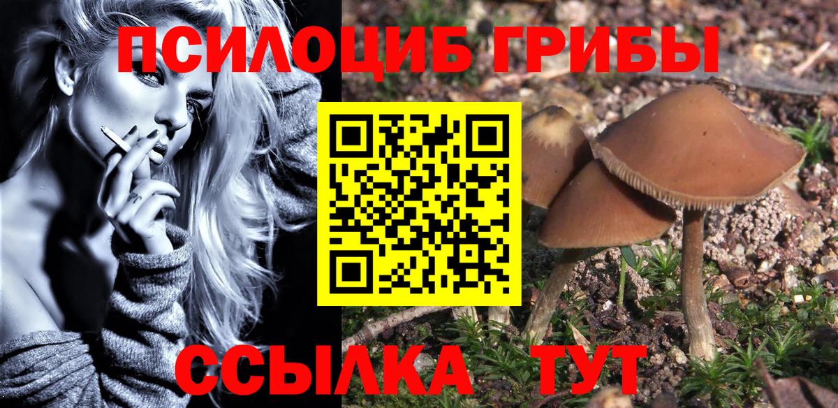 Белая Калитва  Псилоцибиновые грибы Magic Shrooms  Вход с VPN 