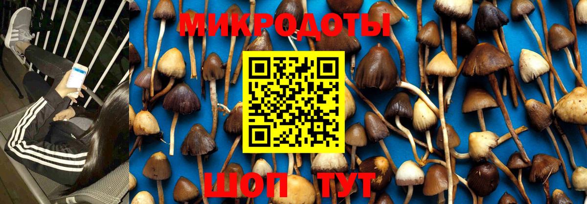 Псилоцибиновые грибы Magic Shrooms Белая Калитва